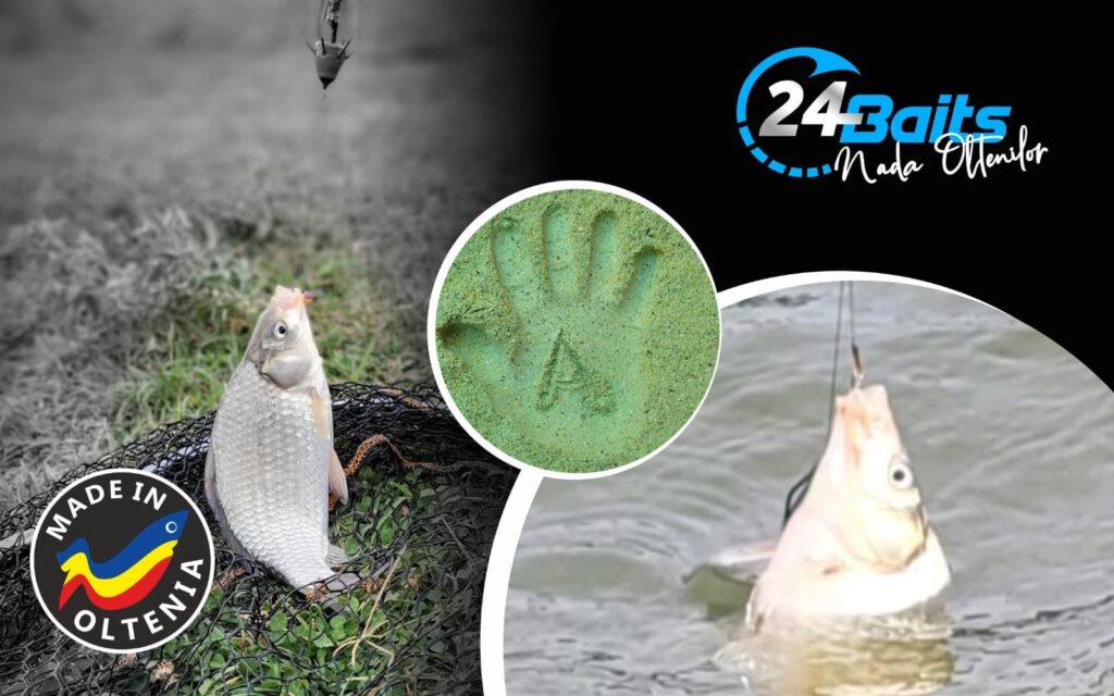 24Baits