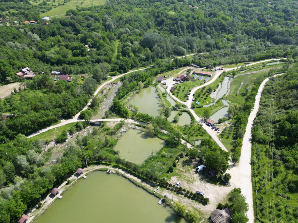 Balta Iazulu Dorului