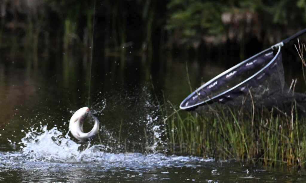 Q Lake Fishery