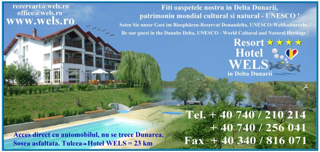 Hotel Wels